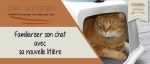 Familiariser son chat à sa nouvelle litière : Guide conseil