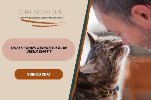 Notre dossier-conseils sur les soins utiles pour un chat âgé